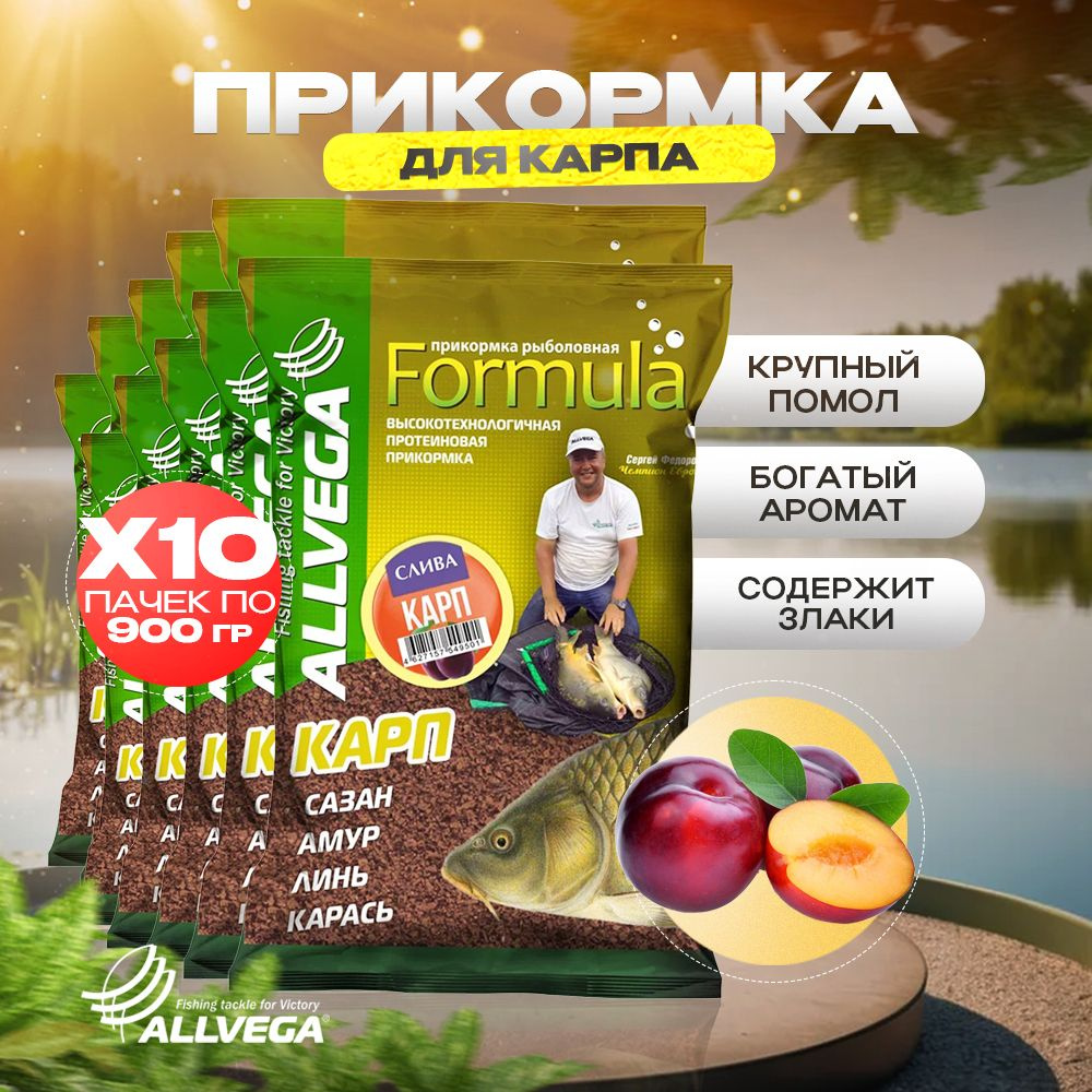 Прикормка для рыбалки на карпа ALLVEGA Formula СЛИВА 10 пачек - купить с  доставкой по выгодным ценам в интернет-магазине OZON (469537343)