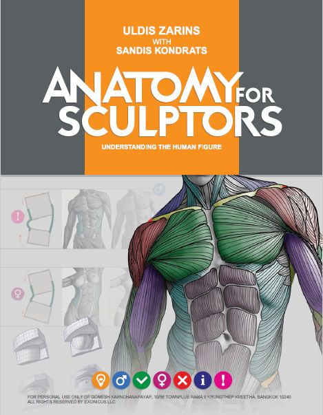 Anatomy For Sculptors, Understanding the Human Figure #1