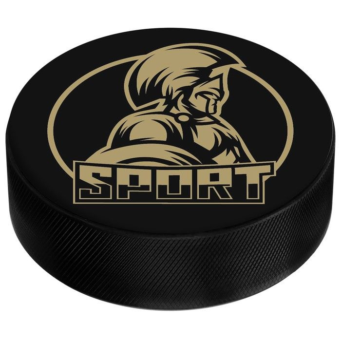 Шайба WINTER STAR "Sport", хоккейная, взрослая, диаметр 7,6 см #1