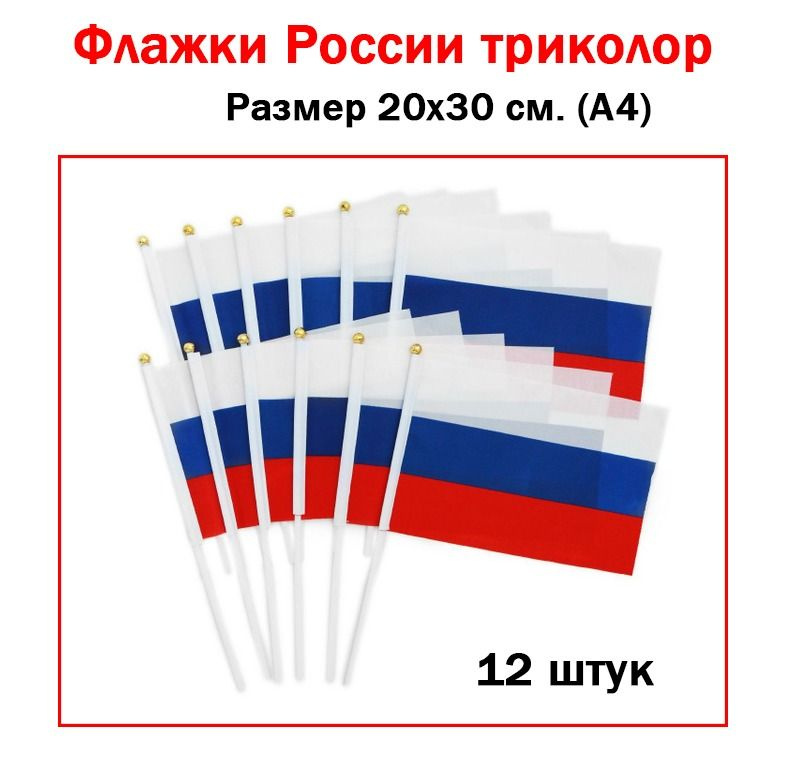 Флажки России триколор 20х30 см./ Маленькие флажки России на палочке 20х30 см. - 12 шт.  #1