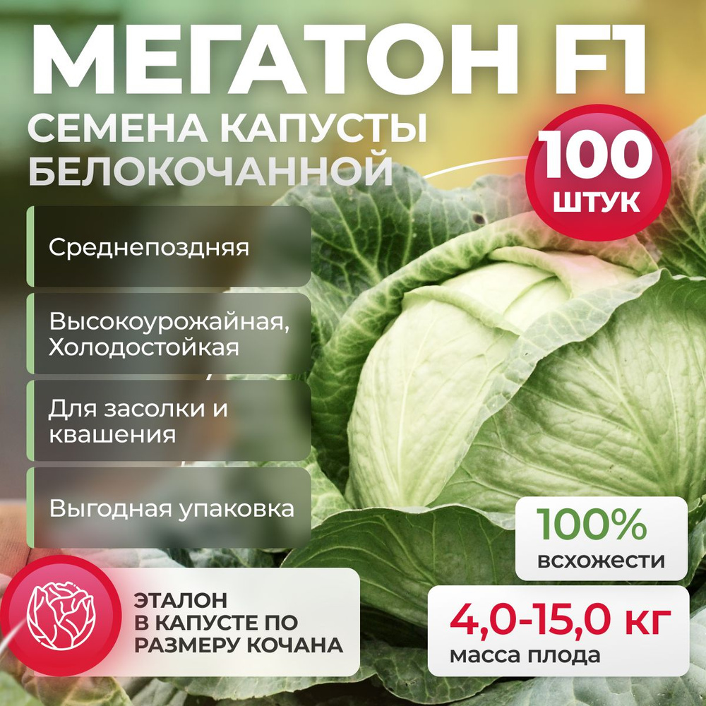 Мегатон F1 семена капусты белокочанной, 100 шт (Bejo / ALEXAGRO). Высокоурожайный, среднепоздний гибрид #1