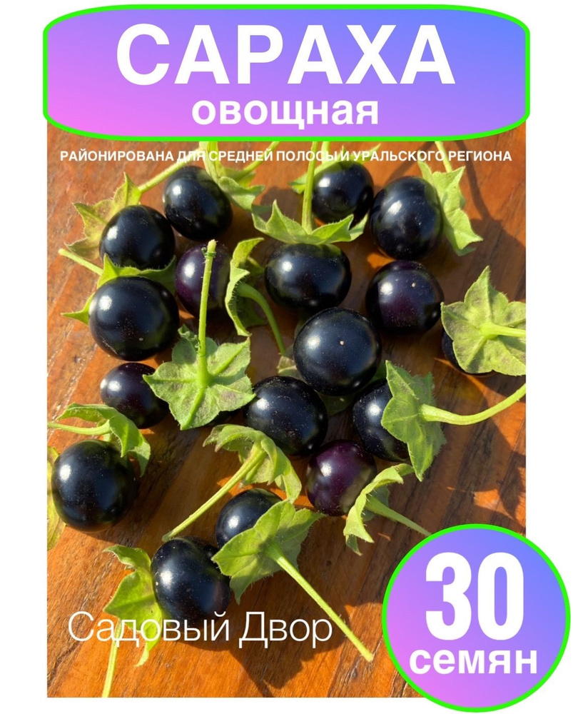 Сараха овощная, семена 30 шт #1