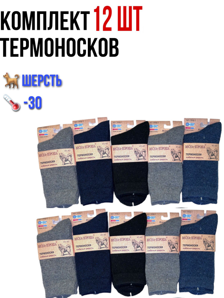 Термоноски Носки, 10 пар #1