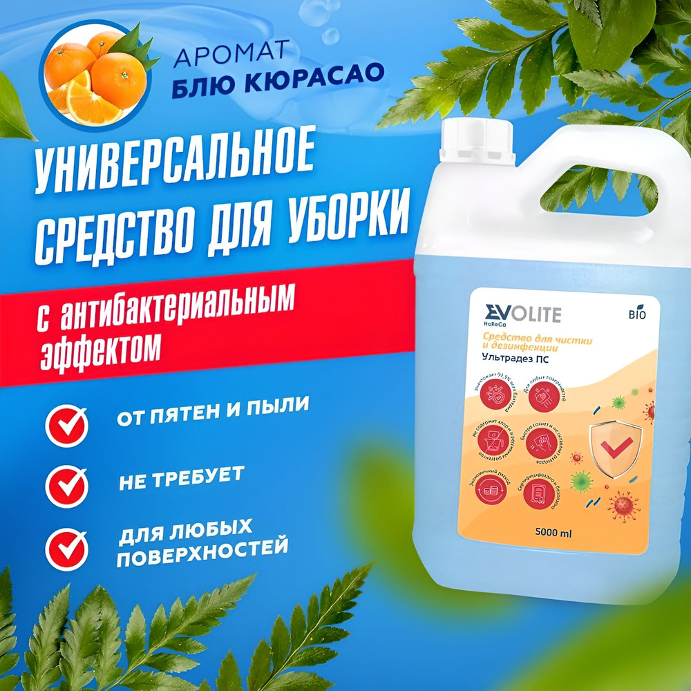 Средство моющие с дезинфицирующим эффектом , EVOLITE HoReCa, 5 л  #1