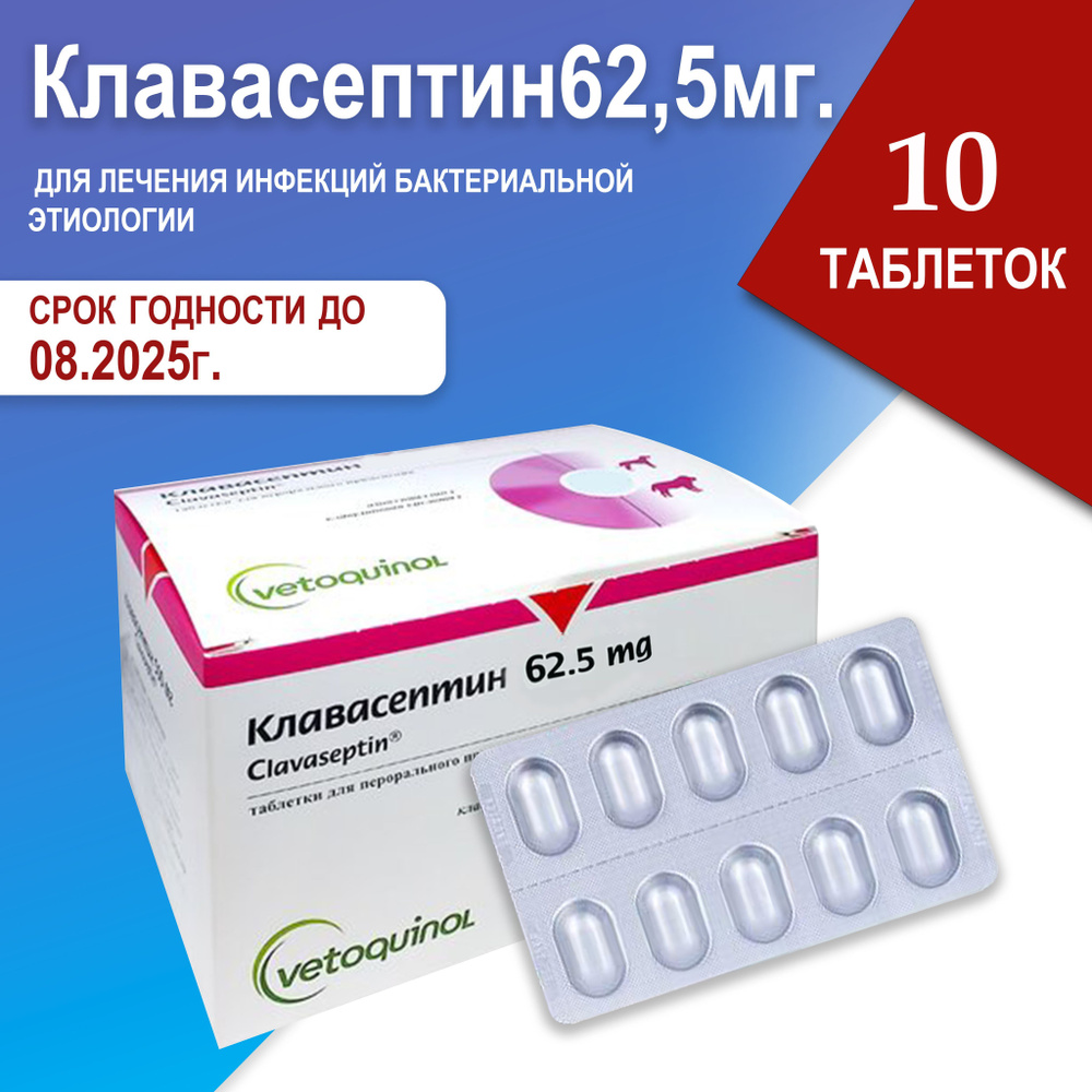 Clavaseptin (Клавасептин) 62.5 мг., 10 таблеток для лечения периодонтальных инфекций у собак и лечения #1