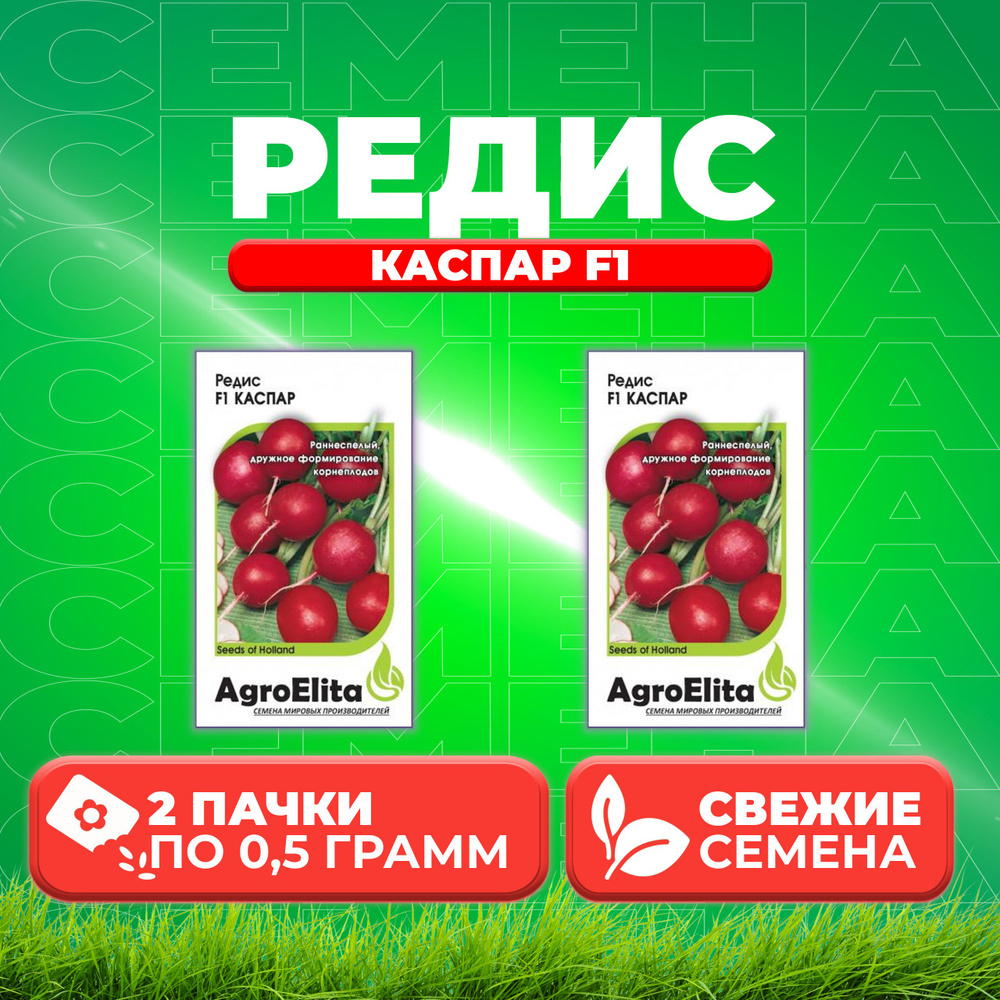 Редис Каспар F1, 0,5г, AgroElita (2 уп) #1