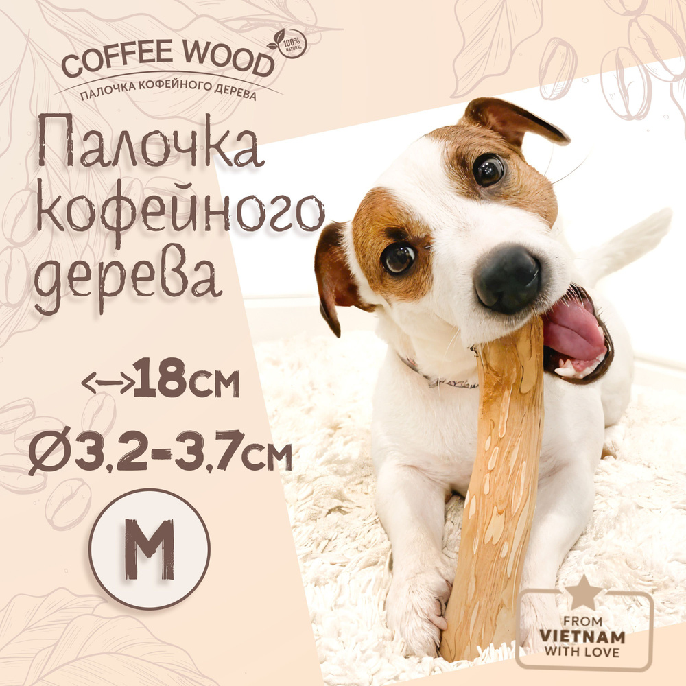 Игрушка для собак - палочка кофейного дерева Coffee Wood M 18 см / Жевательное лакомство для чистки и #1