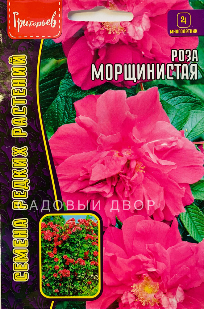 Роза Морщинистая (ругоза), 1 пакет, семена 10 шт, ЧК #1