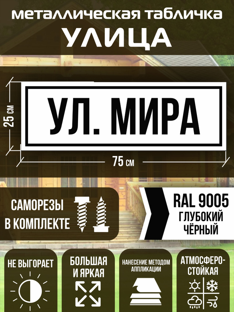 Адресная табличка на дом улица Мира RAL 9005 черная #1