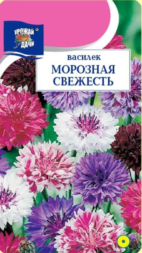 Василёк МОРОЗНАЯ СВЕЖЕСТЬ махровый для мавританского газона (Семена УРОЖАЙ УДАЧИ, 0.5 г семян в упаковке) #1