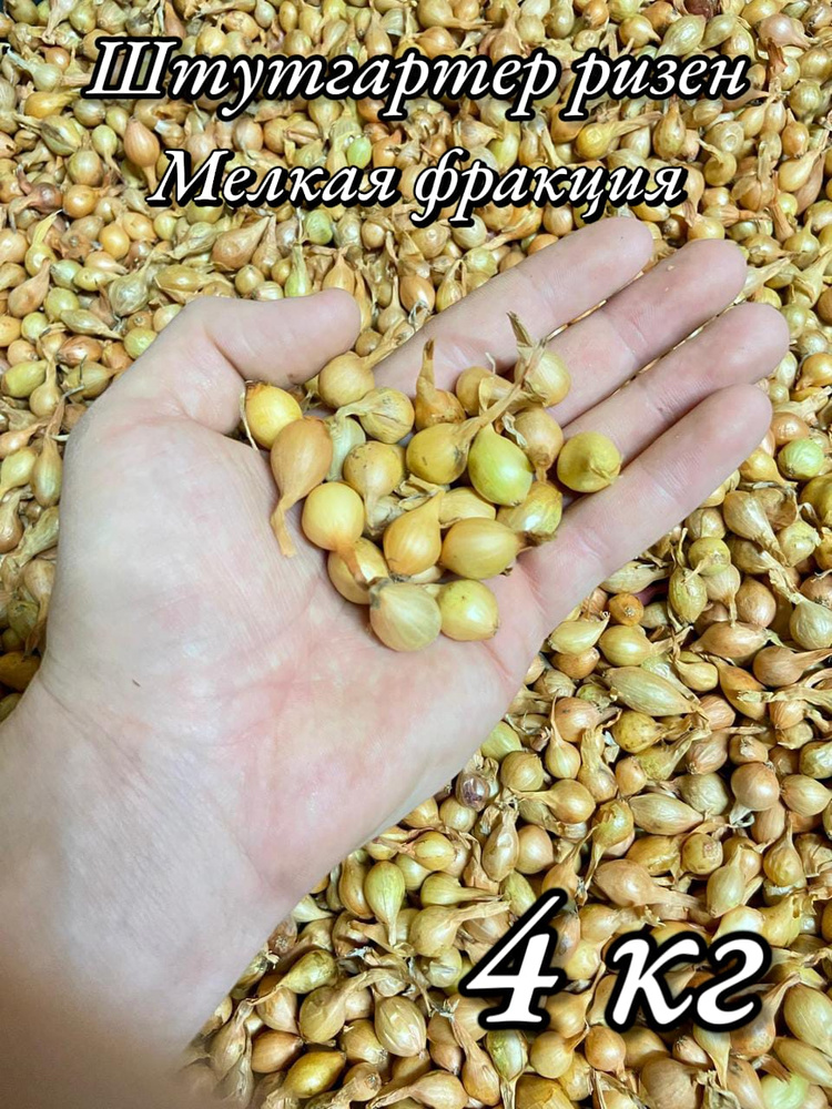 Семена #1