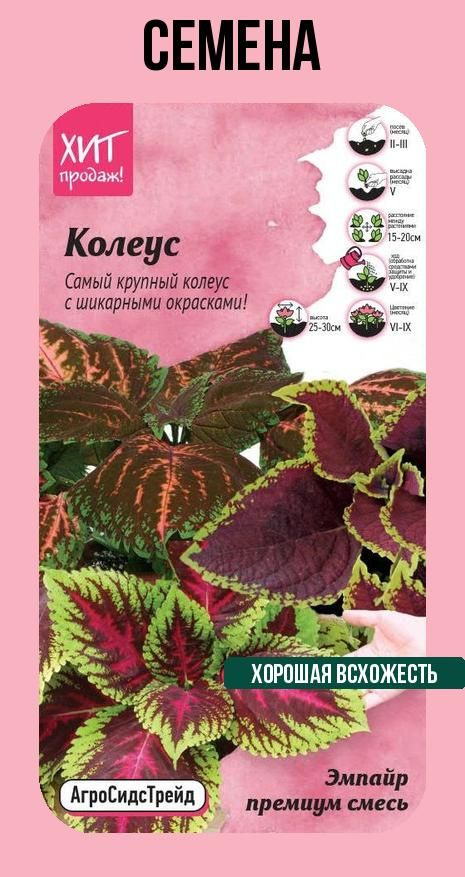 Семена Колеус премиум смесь 10 семян в упаковке #1