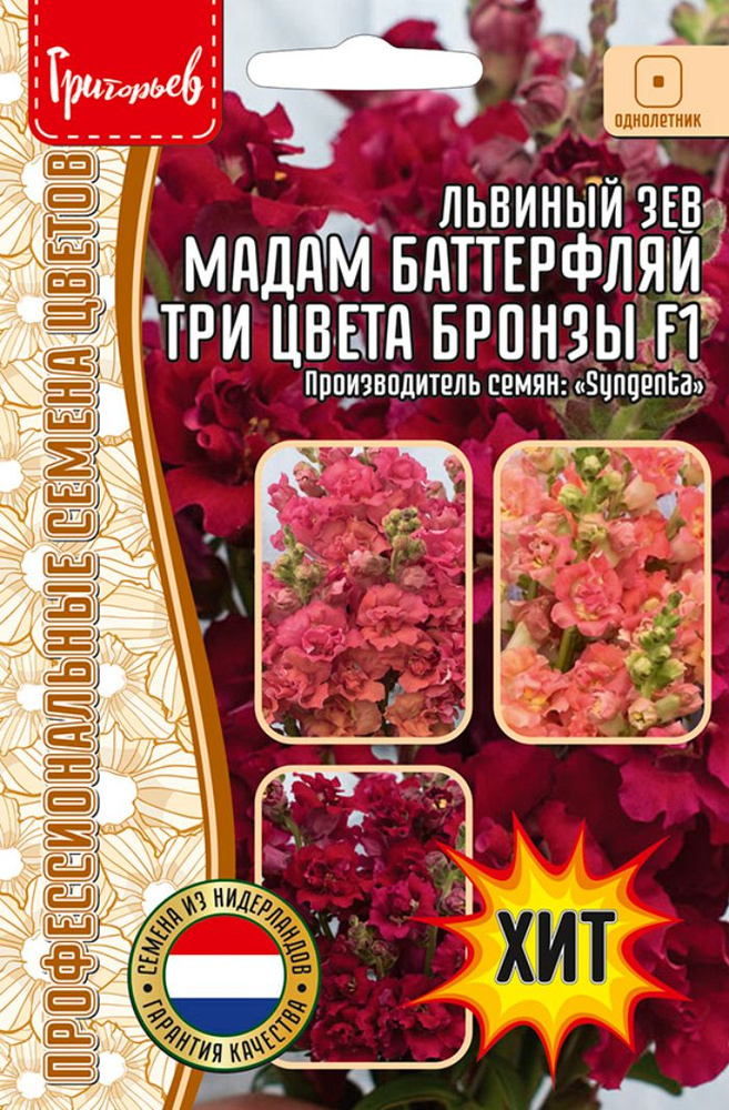 Львиный Зев Мадам Баттерфляй Три Цвета Бронзы 7шт. #1