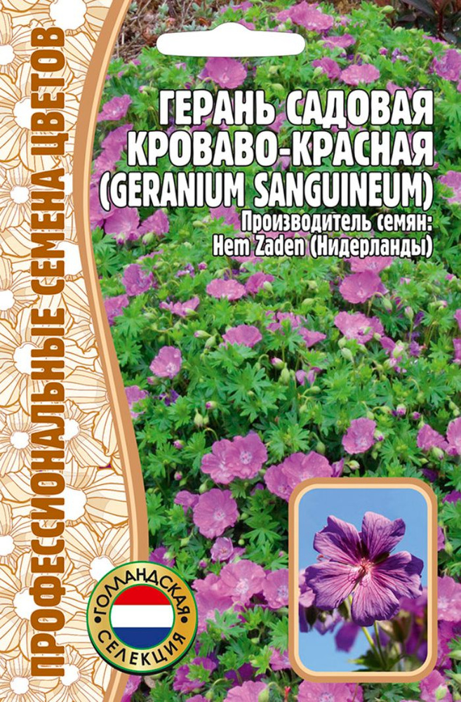 Семена Герань садовая Кроваво-Красная 3шт. #1