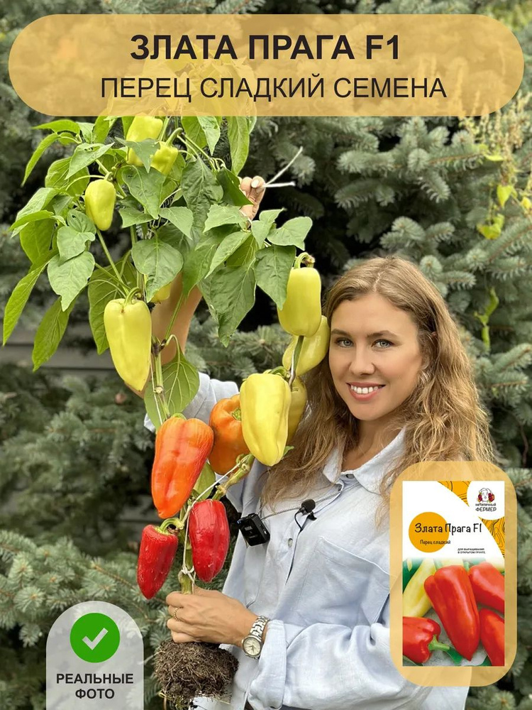 Семена сладкого перца Злата Прага #1