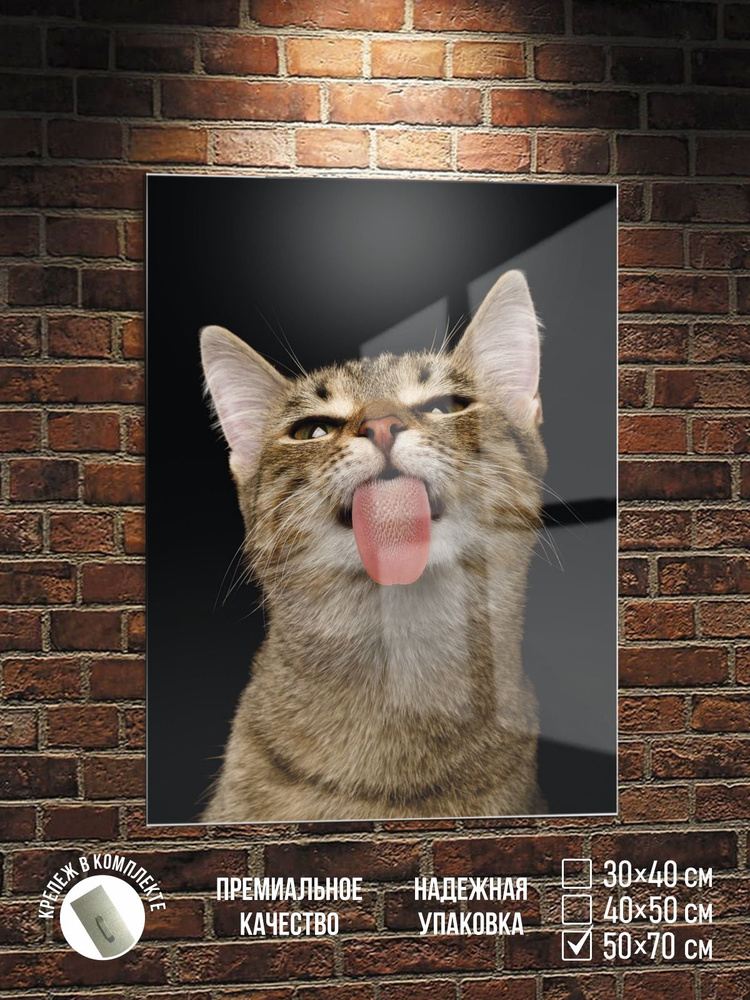 Картина на стекле Милый котик показывает язык, 50х70 см ПолиЦентр #1