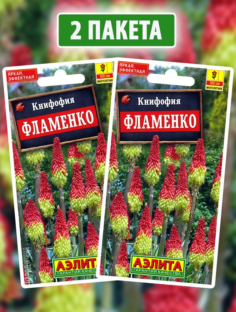 Семена Книфофия ягодная Фламенко, 2 пакетика по 30шт #1