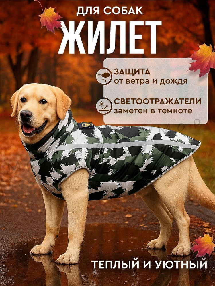 Одежда для животных #1