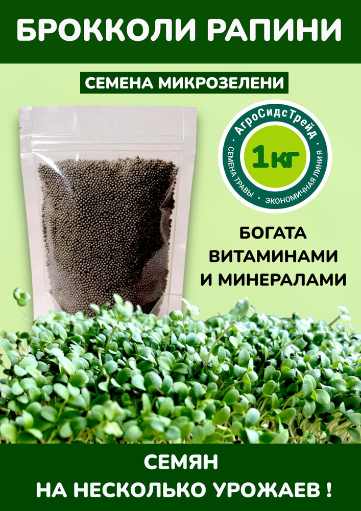 Брокколи Рапини. 1 кг для микрозелени #1