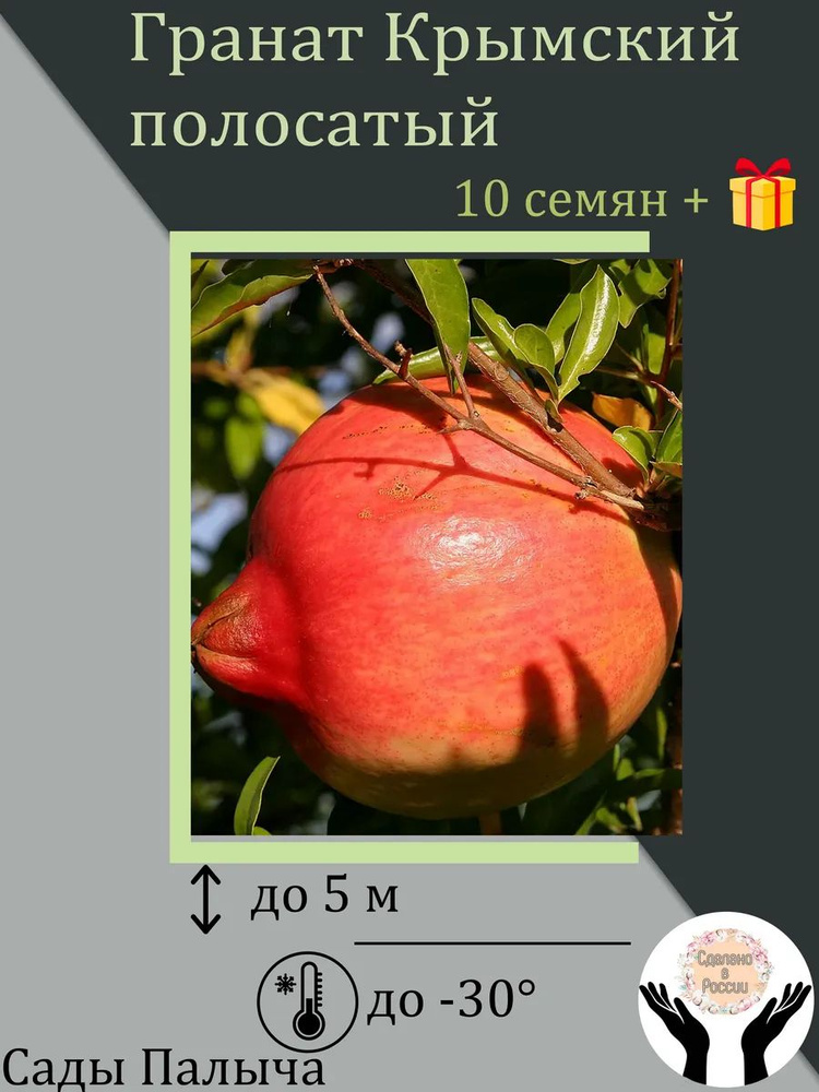 Семена ,10шт #1