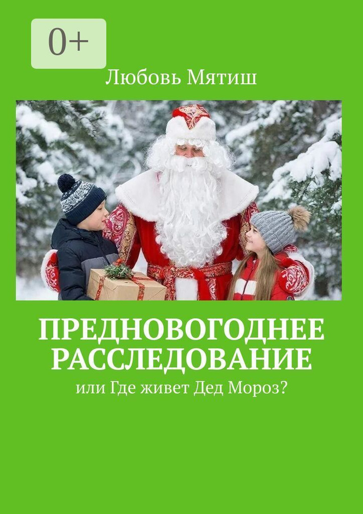Предновогоднее расследование. или где живёт Дед Мороз | Мятиш Любовь #1