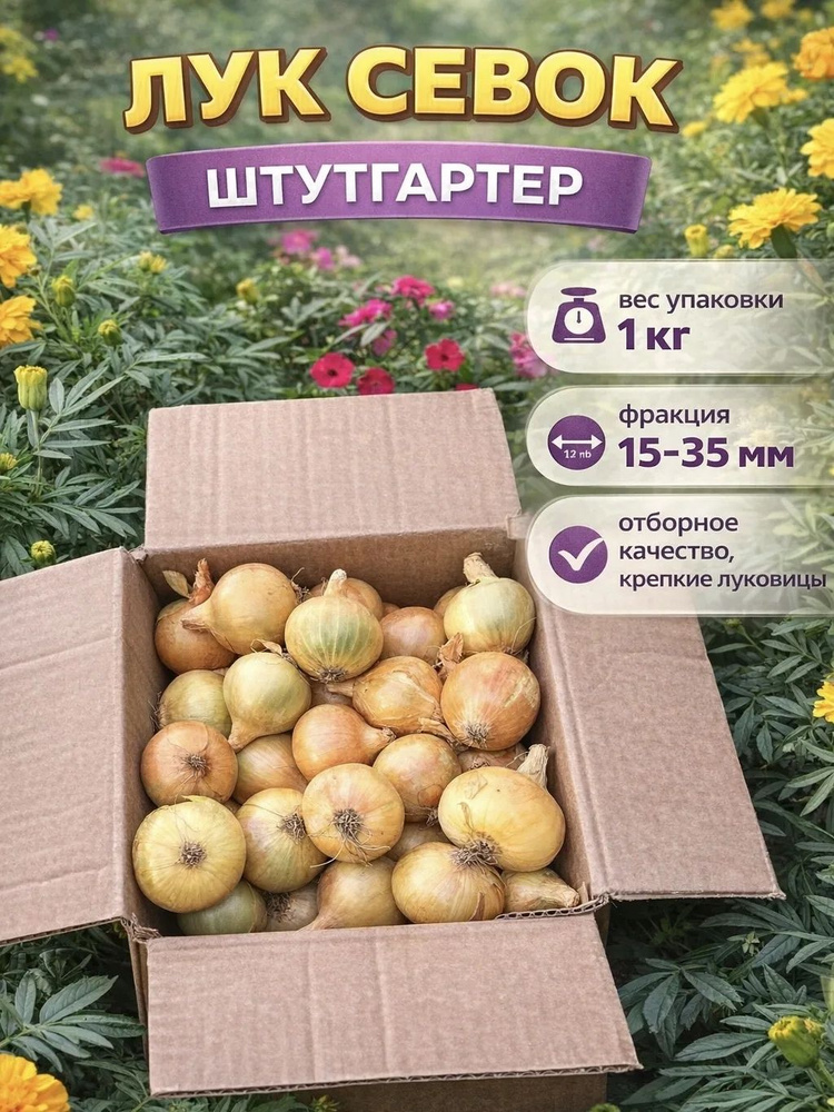 Лук севок на посадку штутгартер ризен на зелень 1 кг #1