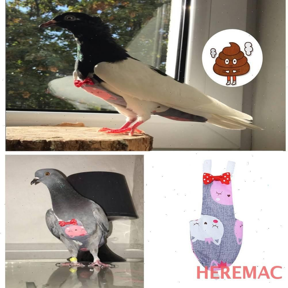 Одежда для животных HEREMAC #1