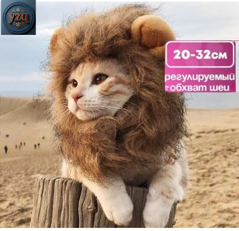 Одежда для животных #1