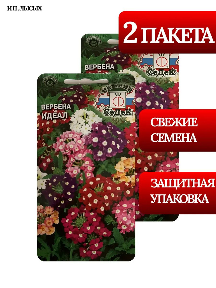 Семена Вербена "Идеал" #1