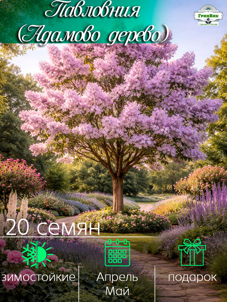 Семена ,20шт #1