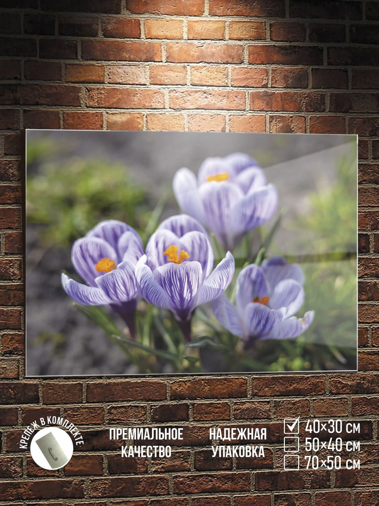 Картина Нежные крокусы, стекло, 40х30 см ПолиЦентр #1