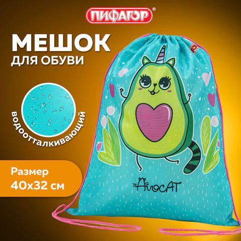 Мешок для обуви ПИФАГОР, 1 отделение, 40х32 см, Avocat, (271597) #1