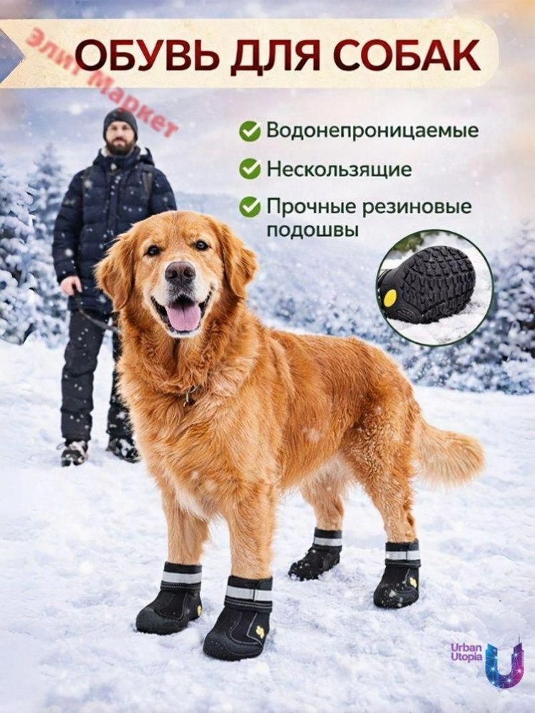 Обувь для собак #1
