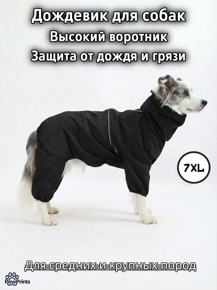 Одежда для животных #1
