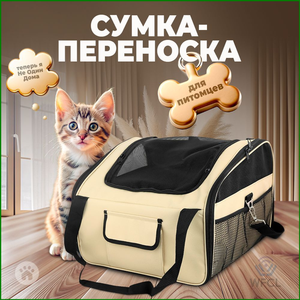 Переноска #1