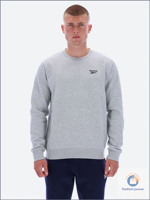 CREWNECK SWEATSHIRT купить на OZON по низкой цене