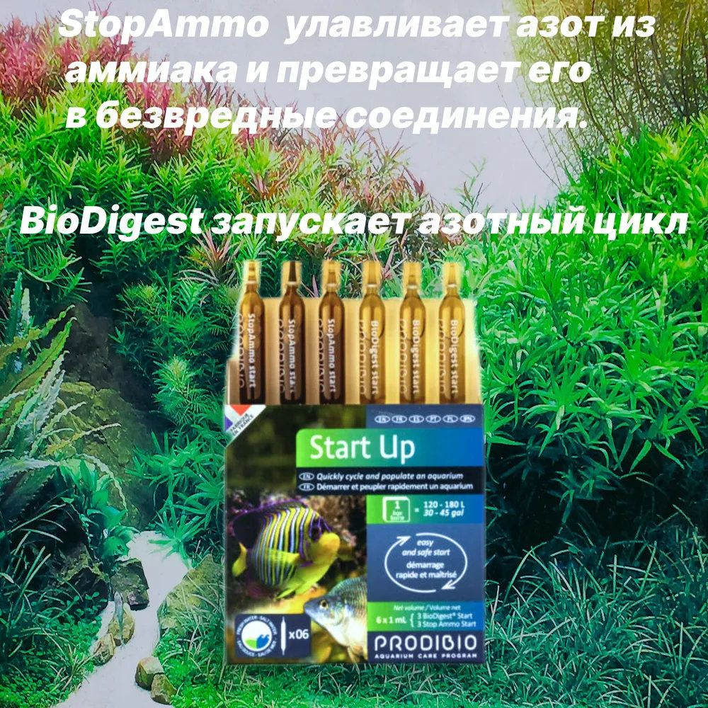 Prodibio START UP 6 ампул набор преп. 3 BIO DIGEST+3 STOP