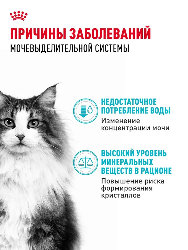 Сухой корм для кошек Royal Canin Urinary Care для профилактики мочекаменной болезни, 2 кг, 2 кг, фото 2