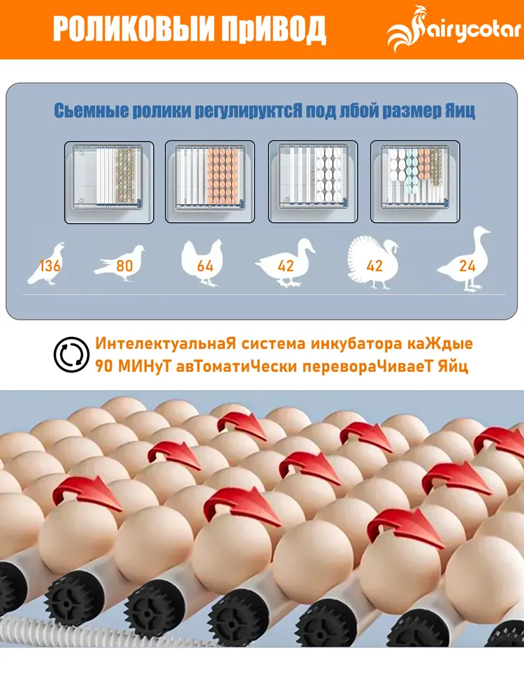 64 яиц, Автоматический интеллектуальный домашний инкубатор для яиц, Регулирование температуры и влажности,овоскопом, автоповоротом, 22012B, двойной источник питания, вариант, фото 3