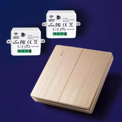 Двухклавишный беспроводной выключатель света с 2 приемниками 433 МГц SJ