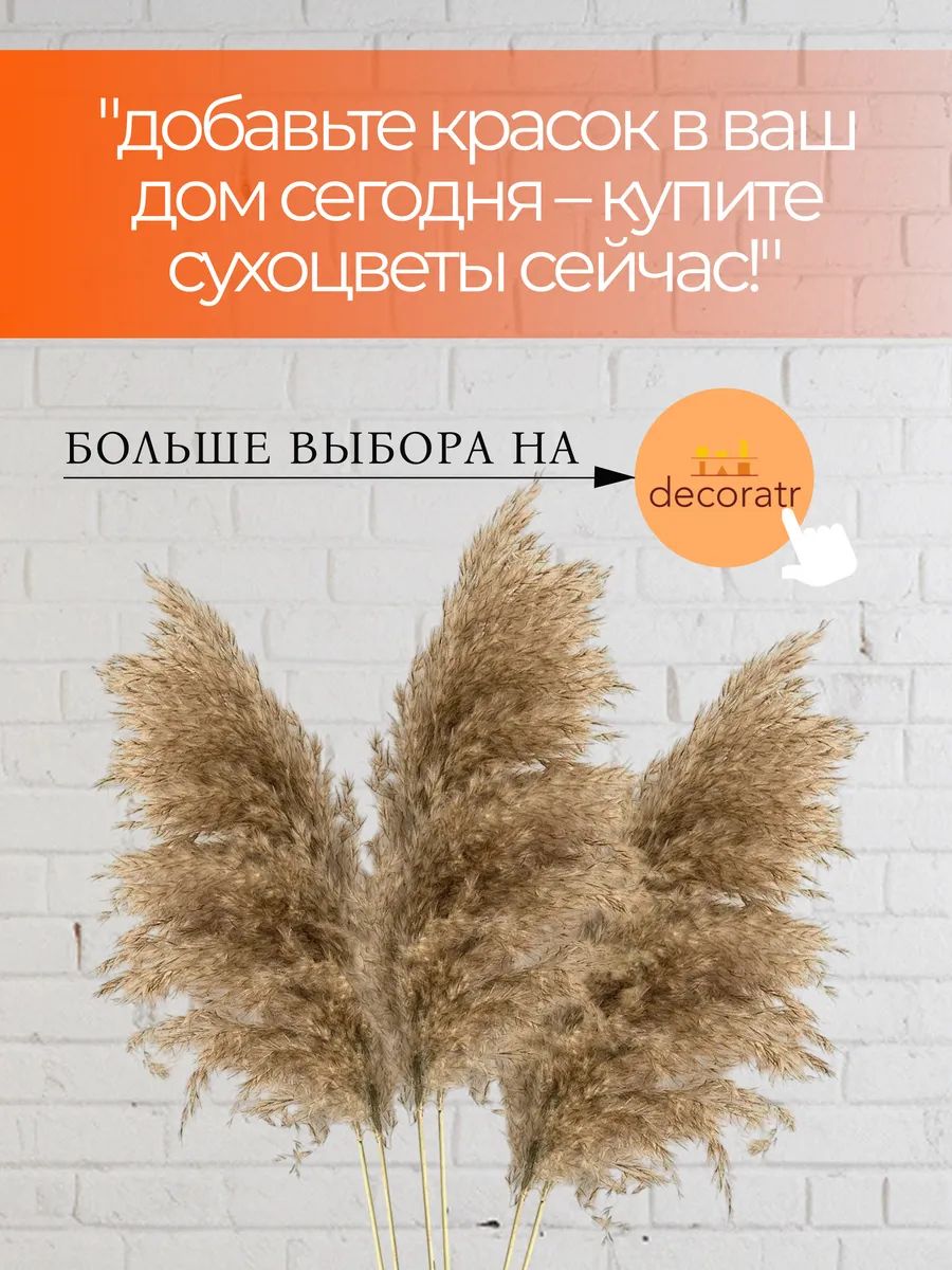 Пампасная трава натуральный 1.4m SJ-W12 Китай
