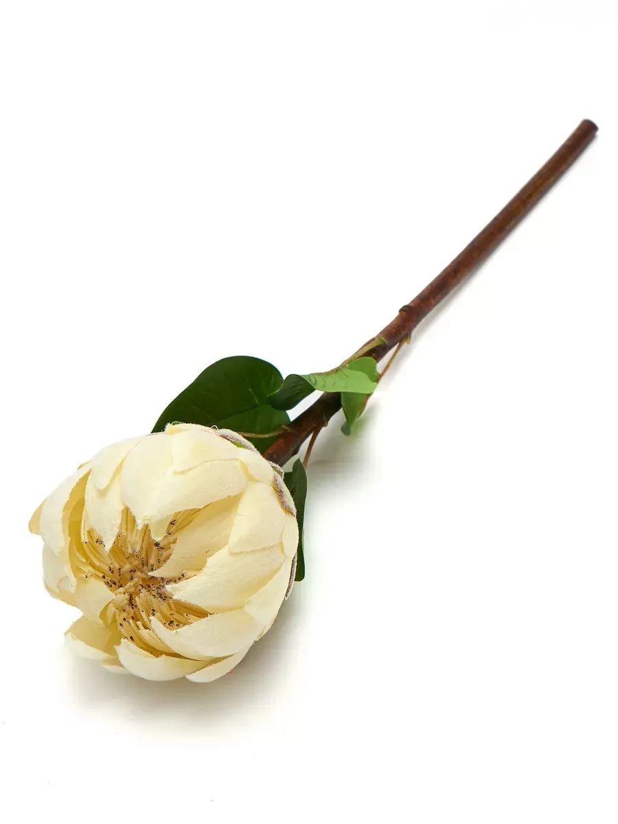 удалить_Протея декор белая