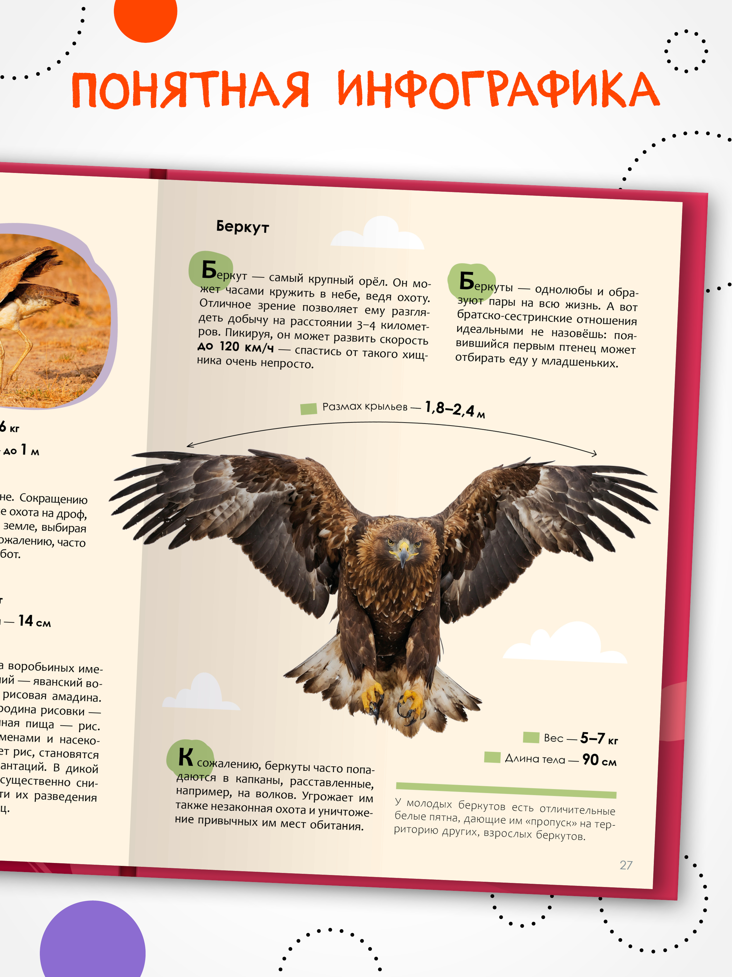Энциклопедия для школьника 7+. Познавательная, развивающая книга для детей. Подарок ребенку | Reference Book - Ozon image 3