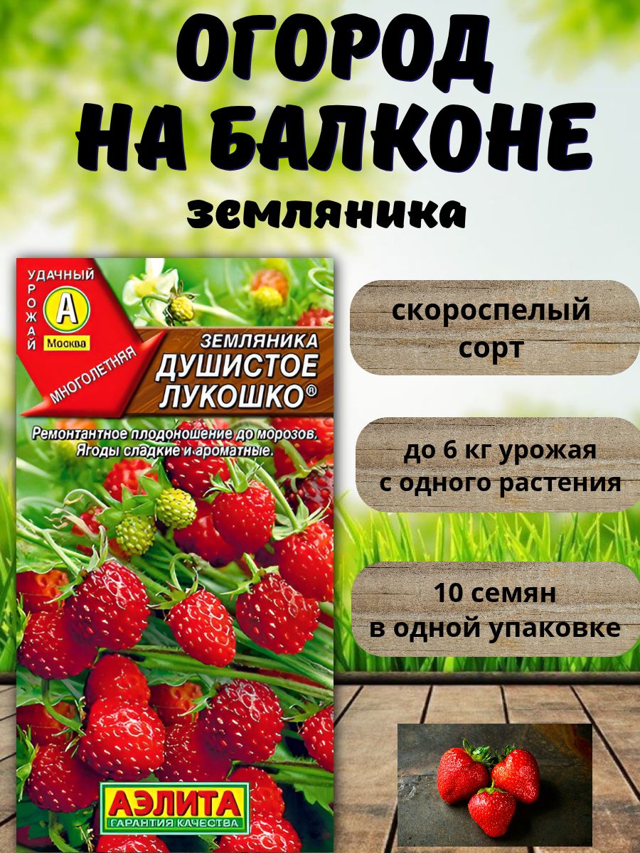 ЗемляникаДушистоелукошко,семенадлядомаиогорода