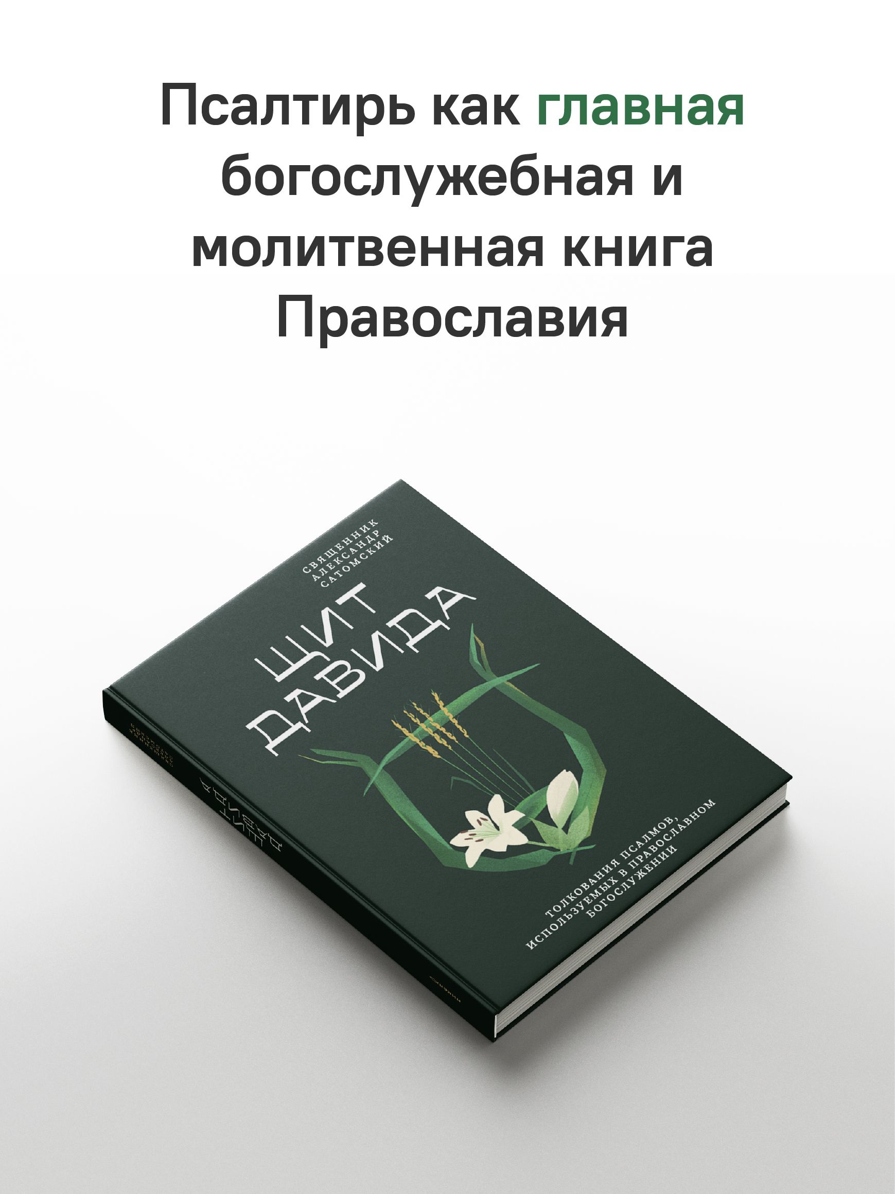 Щит Давида. Толкование псалмов, используемых в православном богослужении | David's Shield: A Guide to the Psalms Used in Orthodox Worship - Ozon image 1