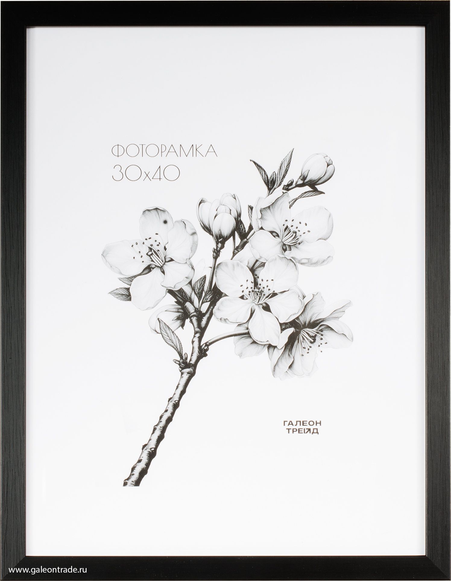 Фоторамка пластиковая 30 х 40 см, черная