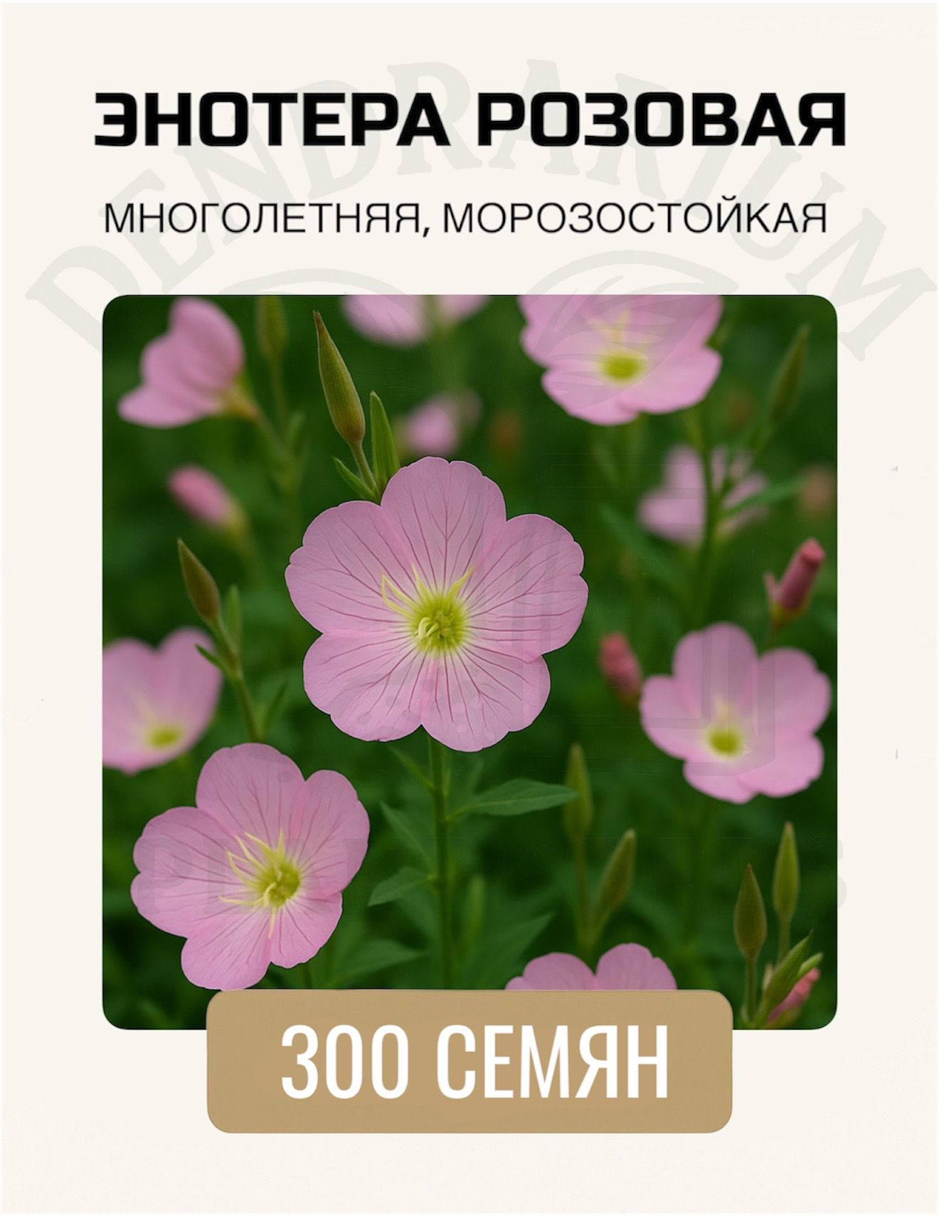 СеменаЭнотераРозовая300шт/Раскрытиевсумерки:экзотическая/ночная/морозостойкая/медонос