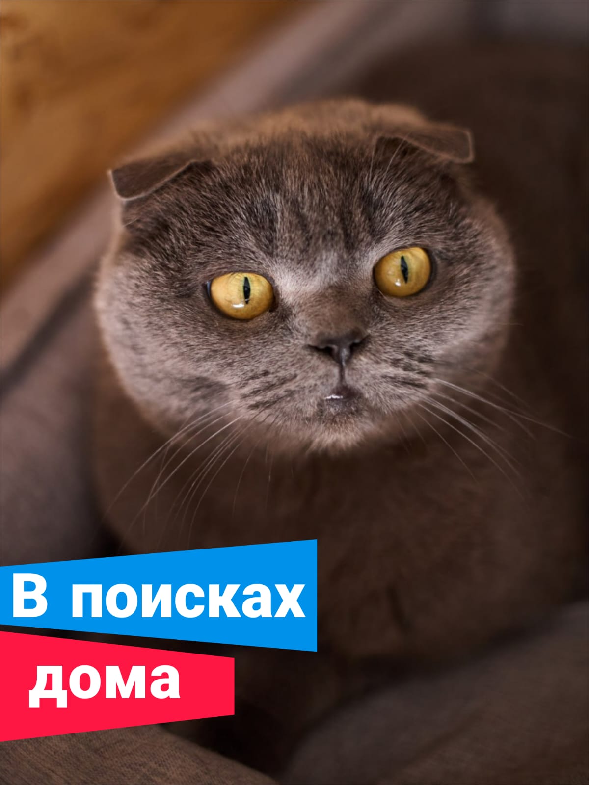 ПомощьБритни