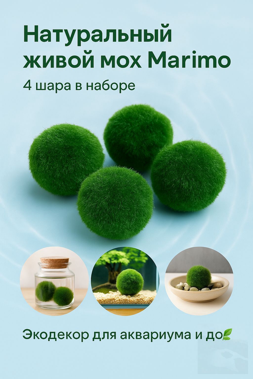 моховой шар Marimo, 4 штуки, диаметр 1CM-2CM купить на OZON по низкой ...