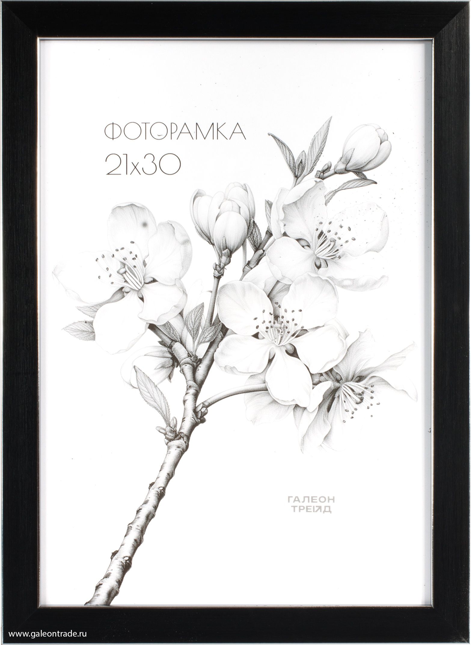 Фоторамка пластиковая 21 х 30 см